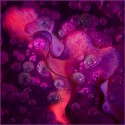 Nina Ludwig, Purple Dream