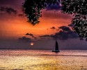 Paul Wenham, Sailing into sunset