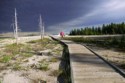 Pathway in Yellowstone Park, Iggy Tavares
